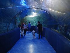 -梦幻海洋王国(吾悦广场张家港店)