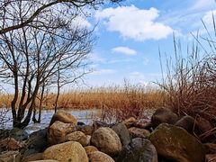 -上海吴淞炮台湾国家湿地公园