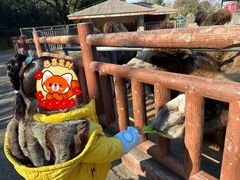 -无锡动物园·太湖欢乐园