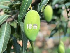 -锦庐道地川菜(来福士店)