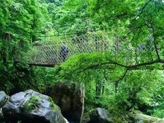 -汉中石门栈道风景区