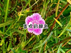 -青岛银沙滩