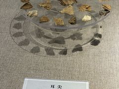 -巴音郭楞蒙古自治州博物馆