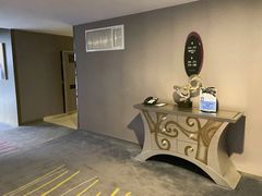 -南京禄口机场雅高铂尔曼大酒店