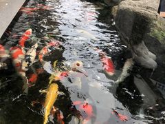 -贵阳高新惠诚食品有限公司