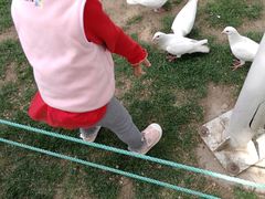 -大班家政月嫂育儿嫂(总部店)