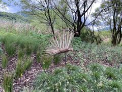 -西湖风景区-江洋畈生态公园