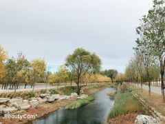 -东郊湿地公园