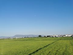 -喜林苑·稻田餐厅(品相府店)