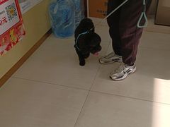 -天宠宠物医院24小时·急重症诊疗中心·全科·腔镜特色(和平分院)