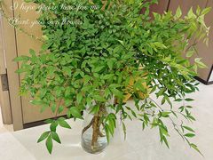 -花里花店(唐镇阳光天地店)