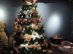 -咖法森林·咖啡  酒吧(天河店)