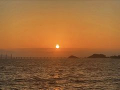 -野狸岛