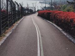 -青岛金沙滩