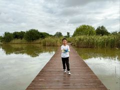 -盐城丹顶鹤湿地生态旅游区