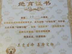 -博特宠物医院24h犬猫全科.骨科·异宠
