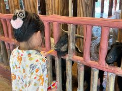 -长鹿旅游休博园