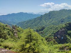 -朱雀国家森林公园