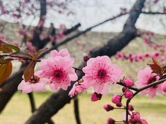 -北京明城墙遗址公园