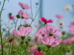 -海心沙亚运公园