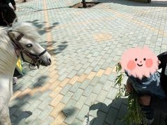 -北戴河集发农业梦想王国