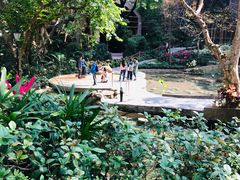 -香港大学