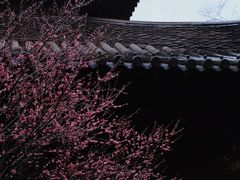 -慧因高丽寺