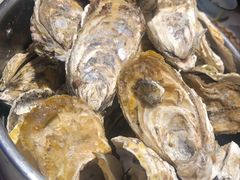 -蚝翅·海鲜粥·烧烤·宁夏滩羊季(玉米楼店)