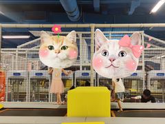 -萌太极儿童成长乐园(即墨宝龙广场店)