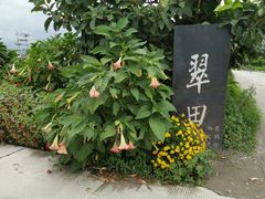 -翠田Green Field Kitchen