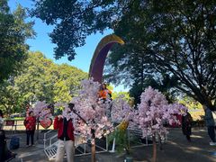-观澜湖生态运动公社