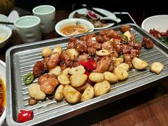 -老板恋上鱼(荣盛广场店)