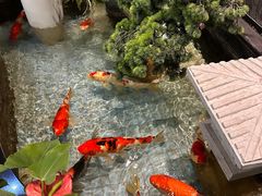 -长赢养生(平度店)