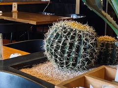 -雅城香慧咖啡馆(常德路店)