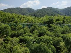 -陶祖圣境风景区