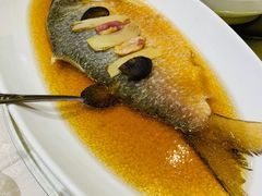 火焖鲥鱼-顺风海鲜港(金玉兰店)