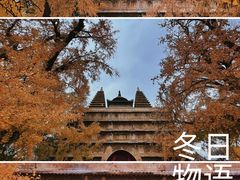 -北京石刻艺术博物馆