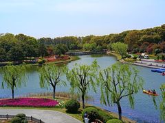-上海鲜花港