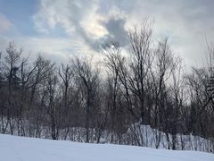 -亚布力新体委滑雪场