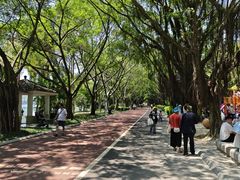 -南宁南湖公园