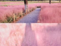 -汉长安城未央宫国家考古遗址公园