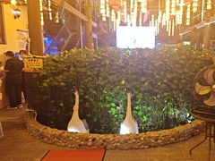 -鹅滋道(甘坑古镇店)