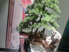 -顺峰(农展馆店)