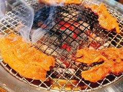 -韩味园果木炭烤鲜肉(陵东街店)