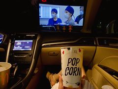 -枫花园汽车电影院(朝阳公园店)