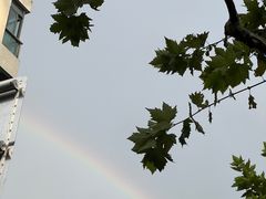 -Wagas沃歌斯(大学路店)