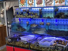 -日照大牌檔•小船海鲜(万平口店)