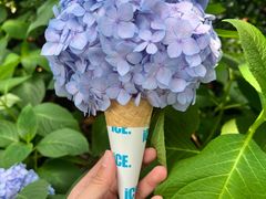 -常州古运河南大街文化旅游区-人民公园