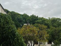 -宁波市保国寺古建筑博物馆