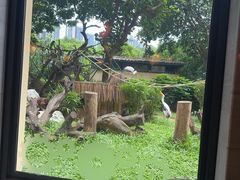 -熊猫自助餐厅.萌趣城堡(长隆熊猫酒店)